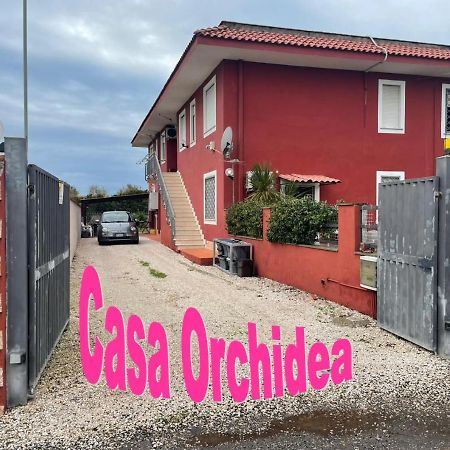 Appartement Casa Orchidea à Fiumicino Extérieur photo
