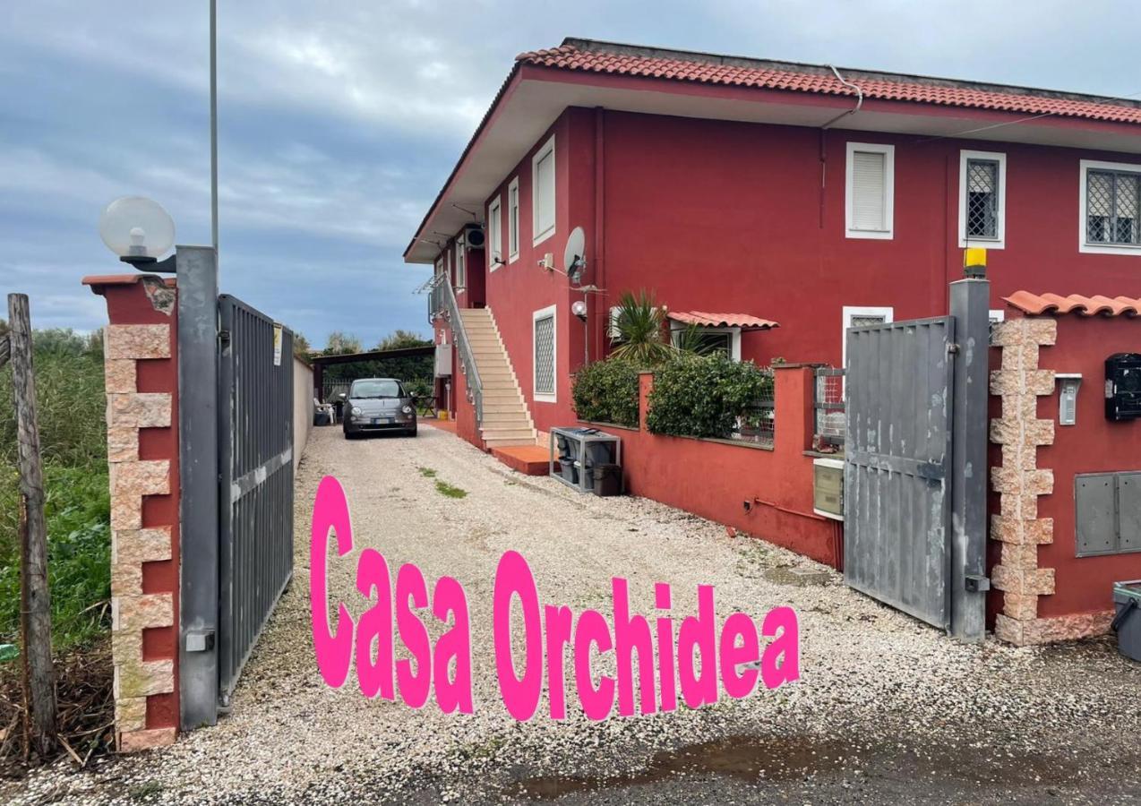 Appartement Casa Orchidea à Fiumicino Extérieur photo