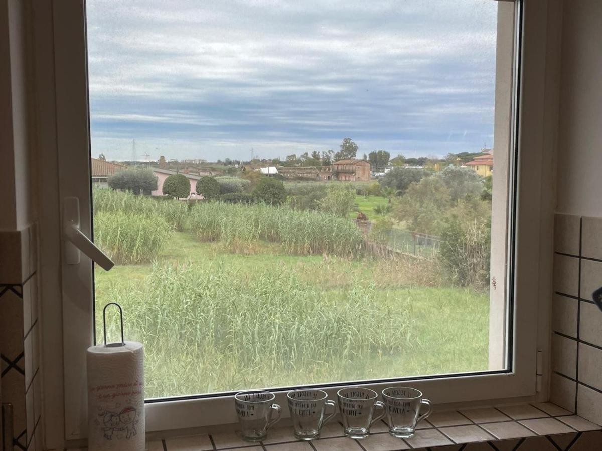 Appartement Casa Orchidea à Fiumicino Extérieur photo